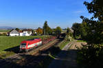 223 032 mit einem Rungenwagenzug am 05.10.2018 bei Stephansposching. 