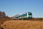 Hier ist der Alex mit der Baureihe 223 067 in Schönfeld zu sehen. Aufgenommen am 24.02.2019