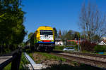 223 013 mit dem Alex aus München kommend kurz vor dem Lindauer Bahndamm.