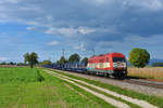 223 031 mit einem Rungenwagenzug am 24.09.2017 bei Langenisarhofen.