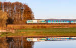 223 064  Landesgartenschau Furth im Wald 2025  mit dem ALX 79864 (Hof Hbf - M�nchen Hbf) bei Oberteich 30.4.26