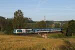 223 064 mit dem  ALEX  aus Hof kommend am 18. Juni 2026 bei Naabdemenreuth.