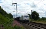 223 158 fuhr am 20.07.2012 mit einem Gterzug aus dem Osten nach Emden, hier bei Neermoor.