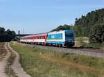 Die 223 064 mit einem ALEX nach Nrnberg am 12.08.2012 unterwegs bei Richt.