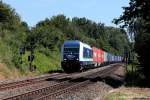 223 152 mit dem Integro-Containerzug nach Wiesau am 16.8.13 in Reuth