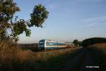 223 064 mit dem ALX 84110 am 03.10.13 bei Oberteich.