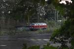 Mauerblick!
Am ehemaligen Rheydter Bahnbetriebswerk konnte ich 215 021-7 der EFW auf dem Gütergleis der Gummibahn fotografieren, wie sie in die ehemalige Ausfahrgruppe fährt, um dann in die ehemaligen Richtungsgleise zu fahren. Das Foto machte ich über die Schutzmauer auf höhe des ehemaligen Ringlolschuppens hinweg. 15.10.2018