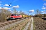 225 101 mit einem Bauzug am 21.02.2020 bei Langenisarhofen.