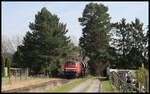 Am 16.03.2022 wurden wieder Teilbereiche der Teutoburger Wald Eisenbahn im Bereich Bad Iburg und Lienen geschottert. Zu diesem Zweck war die LCC Lok 225079-3 der Lappwaldbahn Cargo auf der TWE unterwegs. Hier ist sie in einem kleinen Kiefern Wald bei Höste in Richtung Lengerich unterwegs.