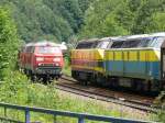 Deutsch-belgisches Oldietreffen. Doppeltraktion 225 117-1 und 225 011-6 auf dem Weg nach Montzen kreuzt 5539 und 5510 auf dem Weg nach Aachen-West. Aufgenommen am 12/07/2008 in Gemmenich/Botzelaer (Linie 24).  