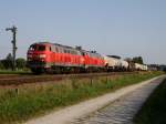 Die 225 806 und die 225 809 am 25.08.2009 mit einem Gemischten Gterzug in Tling.