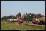 225 010 begegnet einer Ludmilla in Tssling, 08. September 2009.