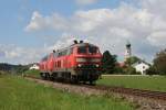 225 809 und 225 071 am 09.08.2010 bei Heiligenstatt.