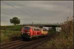 225 903 und die fesche Blonde 217 002 kamen vllig unerwartet am 29.09.2010 als Lokzug nach Saal durch Kfering.