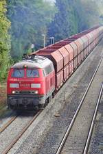 Der „Roßberger Kieszug“ mit 225 009-0 in Fahrtrichtung Friedrichshafen passiert am 27.09.2010 Lochbrücke.