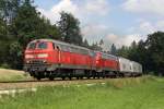 Die 225 071-0 und 225 809-3 ( 218 009-9 ) bei Kastl am 04,08,10