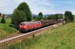 225 010 und 225 020 mit Arlberg-Umleiter FS 45192 bei Heimhofen (11.08.2011)