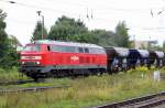 Am 27.08.2015 fuhr die 225 101 von der LWB aus Stendal und weiter in Richtung Magdeburg .