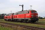 Die 225 806-9 ( 218 006-5 ) und 225 027-2 in Tling am 04,08,10