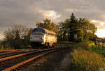 Strabag MY1147 / 227 007 bei Hürth-Fischenich am 09.11.2019