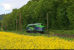 �berraschung hinterm Rapsfeld: 227 010-6 (NOHAB MY 1155) als Solofahrer s�dlich von Friedland(Han) Richtung Eichenberg.

🧰 Altmark-Rail GmbH
🕓 4.5.2025 | 16:51 Uhr
