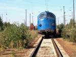 die NOHAB V 170 1125 der NEG-Norddeutsche EisenbahnGesellschaft bei Coswig (26.09.2003) -68  