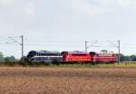 Drei Rundnasen aus Deutschland kehren in ihre alte Heimat Dnemark zurck. Grenzkrug  Zur Krone , 20.08.2011