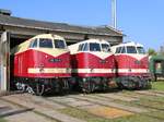 118 731-9, 118 757-4 und 118 788-9 aufgereiht im Lokschuppen des Bahnbetriebswerks Weimar anlässlich des Tags der offenen Tür am 10.10.2015.