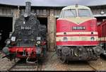 89 1004 der Traditionsgemeinschaft Bw Halle P e.V. und 228 505-4 (118 005-8 | DR V 180) DB stehen anlässlich des Sommerfests unter dem Motto  Diesellokomotiven der ehemaligen DR  vor dem Ringlokschuppen des DB Musems Halle (Saale).
[25.8.2018 | 12:18 Uhr]