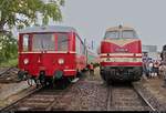 Verbrennungstriebwagen 186 258-0 (VT 135 110) der Traditionsgemeinschaft Bw Halle P e.V. und 228 505-4 (118 005-8 | DR V 180) DB stehen anlässlich des Sommerfests unter dem Motto  Diesellokomotiven der ehemaligen DR  auf dem Gelände des DB Musems Halle (Saale).
[25.8.2018 | 13:04 Uhr]