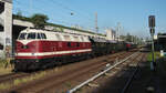 WFL BUNA 204 / 228 501 ist mit einem Zug der Basdorfer  Berliner Eisenbahnfreunde (BEF) auf dem Weg nach Lübbenau.