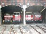 Parade der chemnitzer V60+118+V180+119 im SEM Chemnitz am 17.04.2004 