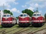 MEG 201 + MEG 203 + MEG 205 am 24.05.2008 in Weimar zum 118er treffen