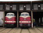 EBS 118 719-4 + MEG 201 am 30.04.2016 beim Eisenbahnfrühling in den Geraer Eisenbahnwelten.