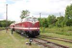 MEG 118 788-9 am 28.05.2022 beim Eisenbahnfest des Thüringer Eisenbahnvereins im ehem. Bw Weimar. 