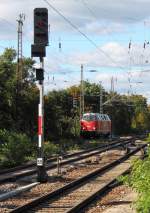 Der V 180 der WFL dieselt am 29.09.2013 durch Oranienburg.