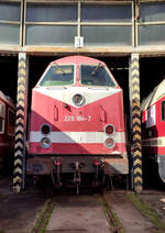 229 184-7 war beim Geraer Eisenbahnfest zusehn. Foto 25.09.21