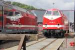 Spieglein, Spieglein ... 229 188-8 und ihr Spiegelbild auf der glnzenden Flanke von 185 567-5. Aufgenommen am 23.07.2011 am Tag der offenen Tr bei Uwe Adam in Eisenach.