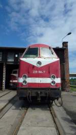 229 184-7 war beim Wasserturmfest in Gera zusehen.