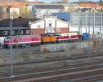 MEG 229 184-7 + 105 133-3 + 228 502-1 am 08.03.2019 in den Geraer Eisenbahnwelten.