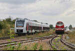 1648 446-0 und 1648 415-5 (Alstom Coradia LINT 41) passieren verspätet den Gleisanschluss der Wesling Handel und Logistik GmbH & Co.