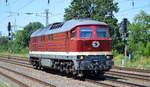 WFL - Wedler Franz Logistik GmbH & Co. KG, Potsdam mit  231 012-6  [NVR-Nummer: 92 80 0231 012-8 D-WFL] am 23.06.20 Bf. Saarmund.