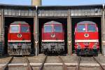 Die 131 001-0 , 130 101-9 , 130 002-9 , im DB Museum Halle (Saale) am 03,07,10