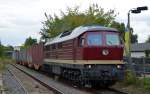 231 012 brachte am 01.09.13 einen Containerzug vom Rbf Halle(S) nach Halle-Trotha. Hier schiebt sie den Containerzug ber das Anschlussgleis in den Hafen.