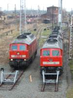 Immer wieder eine Augenweide diese Lok,leider trifft das auf den Gbf Halle(Saale) nicht mehr zu.Am 4.2.2007 standen zu meiner Freude gleich drei verschiedene Lackierungsvarianten zum    Abschuss 