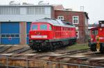 232 598 in Cottbus am 25.01.09
