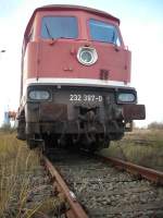 Eigentlich glaubt man das H0 schon gro im Modell ist,doch gegenber dem Vorbild ist H0 doch noch simlich klein.Meine H0-Ludmila 132 256 vor der Vorbild 232 397.