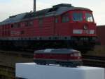 Vorbild 232 342 und ROCO`s Ludmila 132 256.