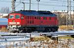 232 131 hat die Schneefrse abgeparkt im Bf Stralsund, 21.01.2010