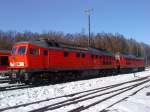 232 693-2 und 232 472-1 stehen bei wunderschnem Wetter in Marktredwitz und warten auf neue Aufgaben, am 25.02.10